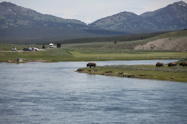 parknarodowyyellowstone5.jpg